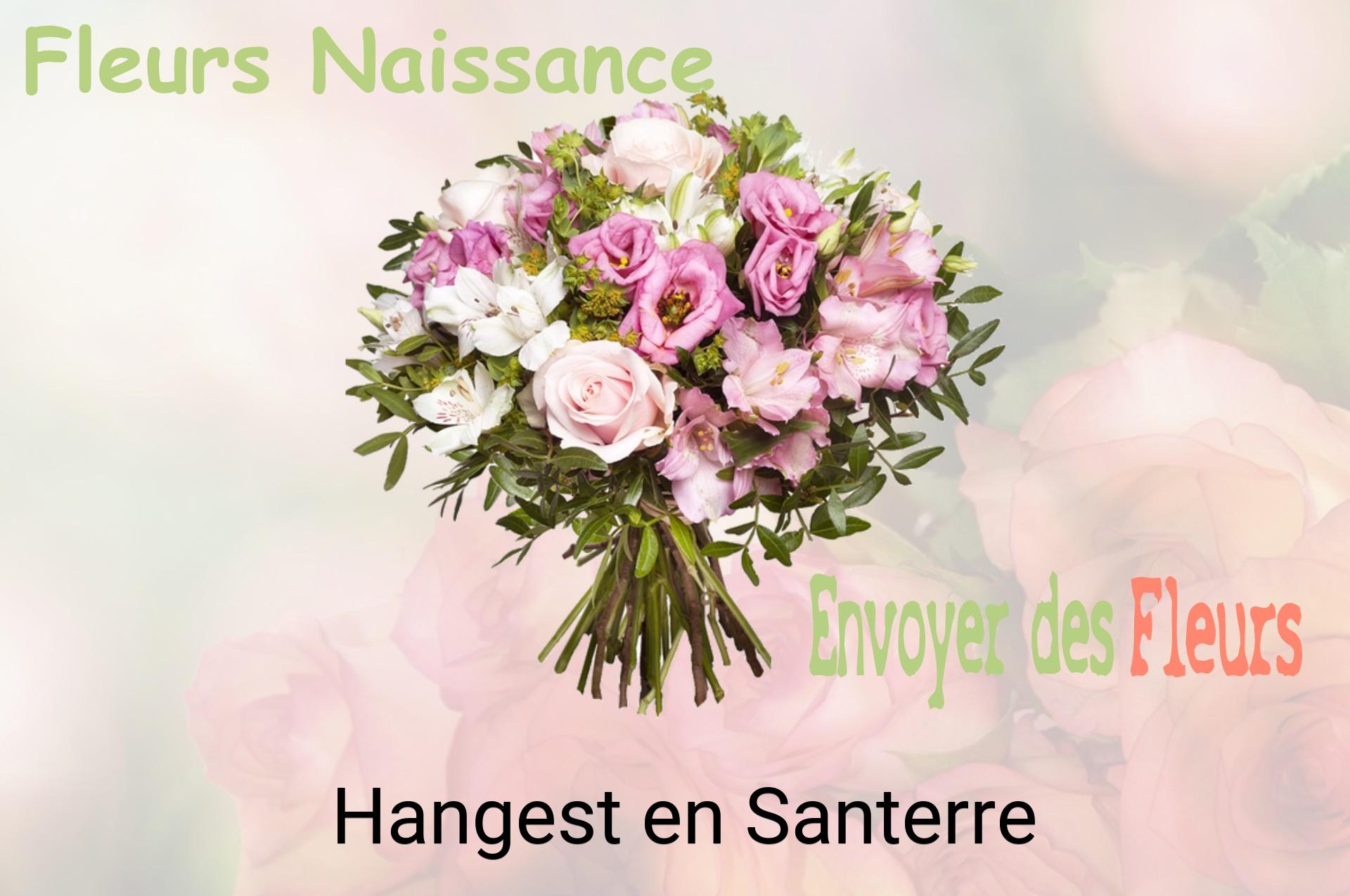 Bouquet de fleurs de naissance livré à Hangest-en-Santerre